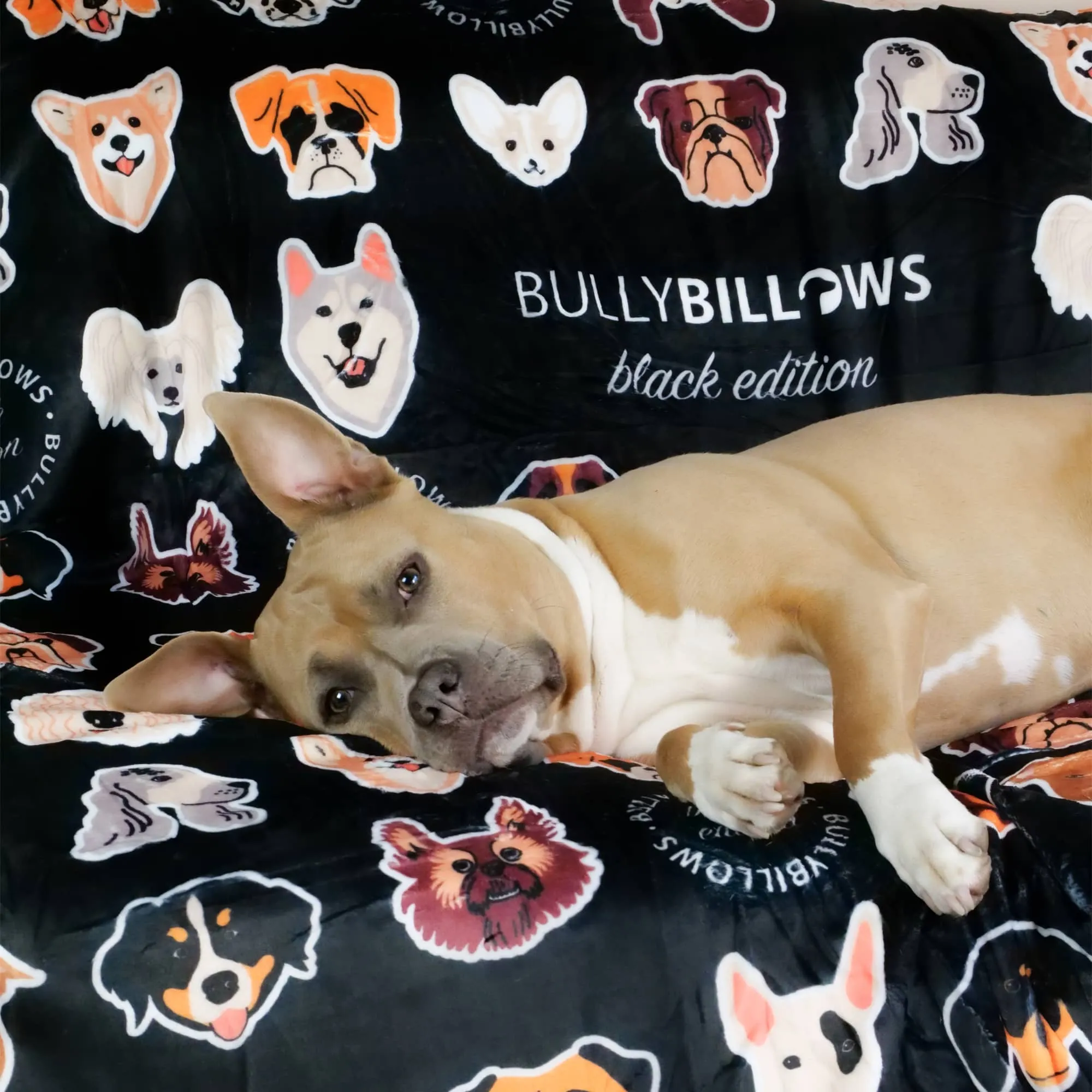 Black Edition | Luxury Dog & Human Blanket