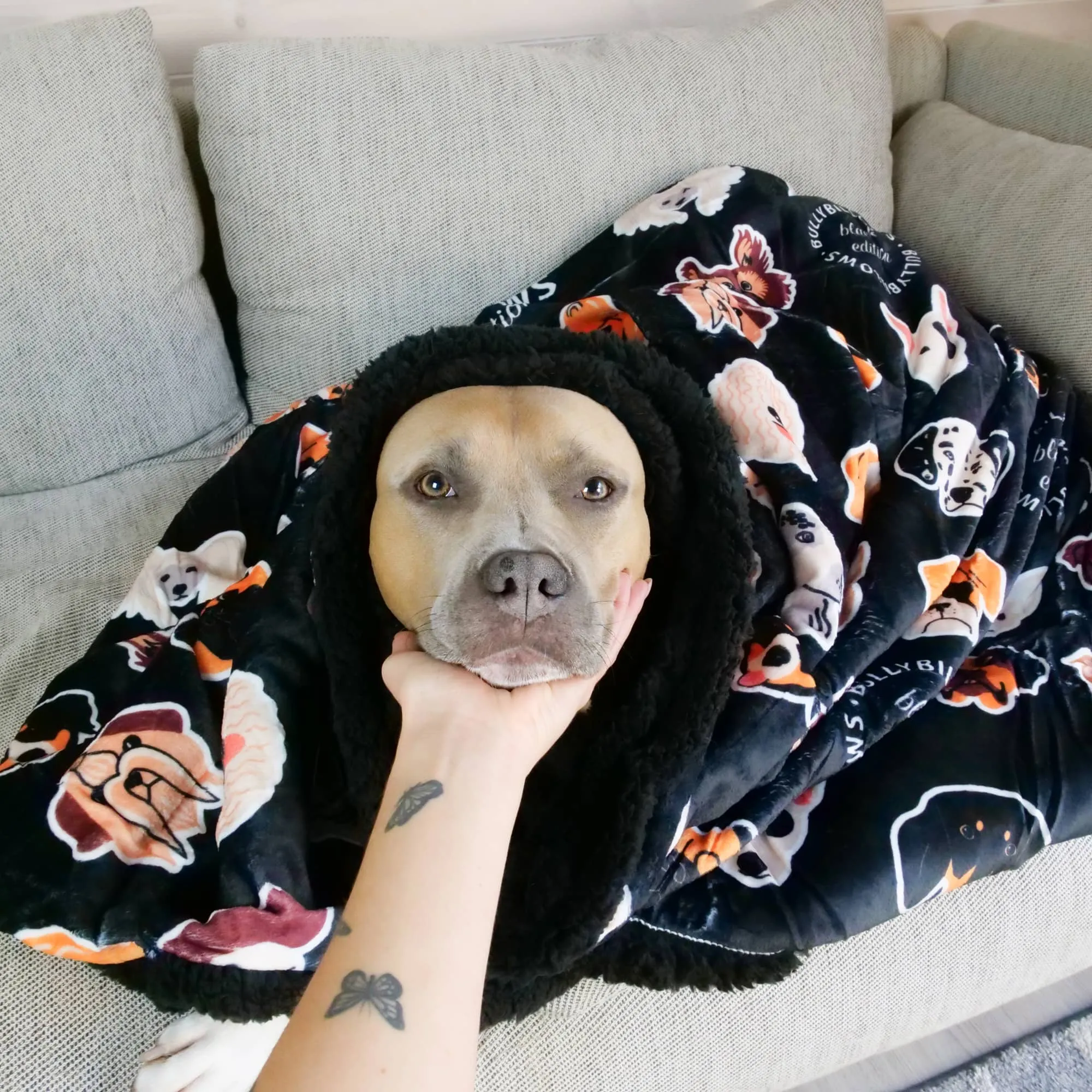 Black Edition | Luxury Dog & Human Blanket