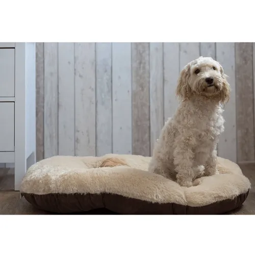 Gor Pets Nordic Oval Cushion Dog Bed