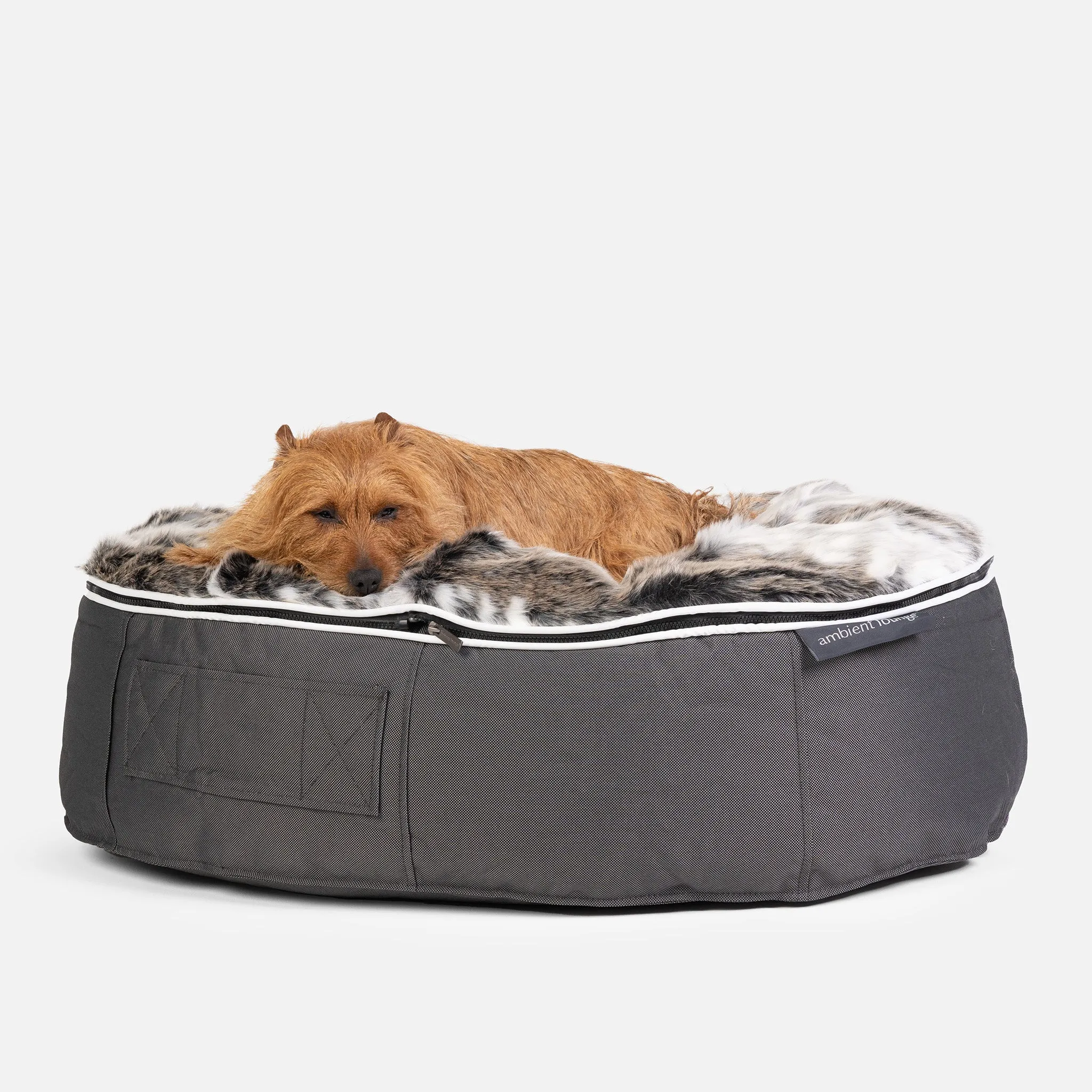 Medium Luxury Dog Bed - Interior/Outdoor