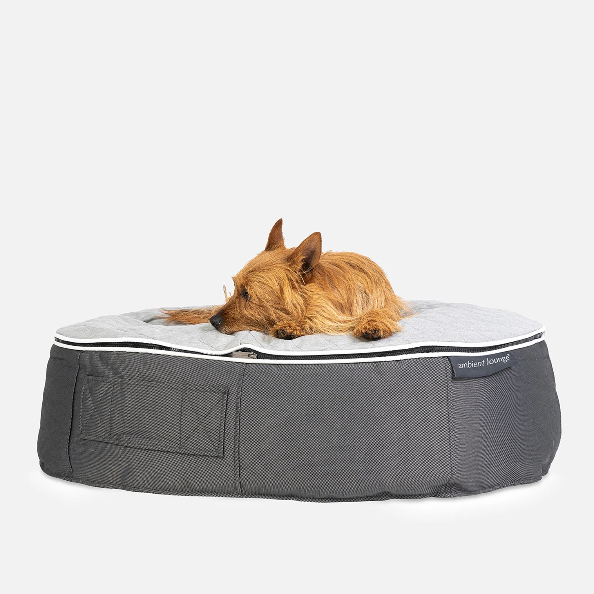 Medium Luxury Dog Bed - Interior/Outdoor