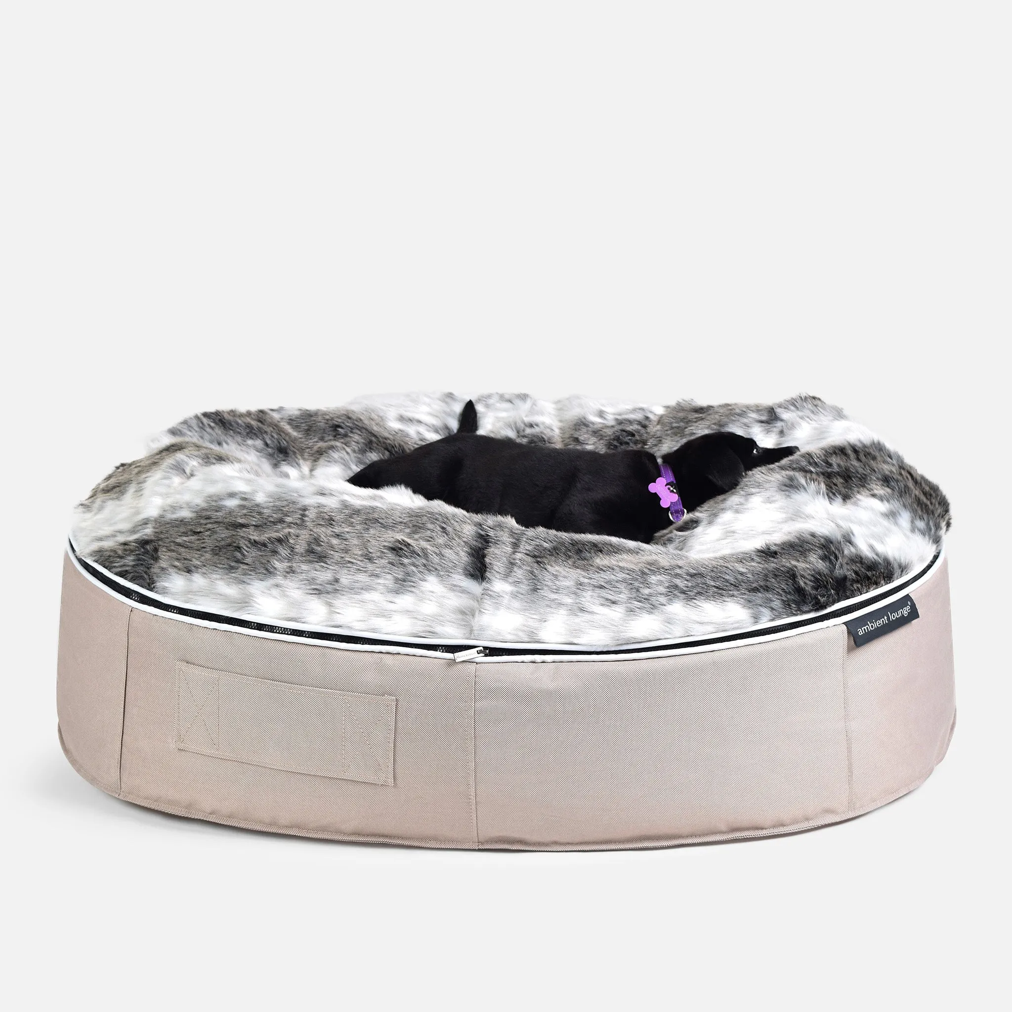 Medium Luxury Dog Bed - Interior/Outdoor