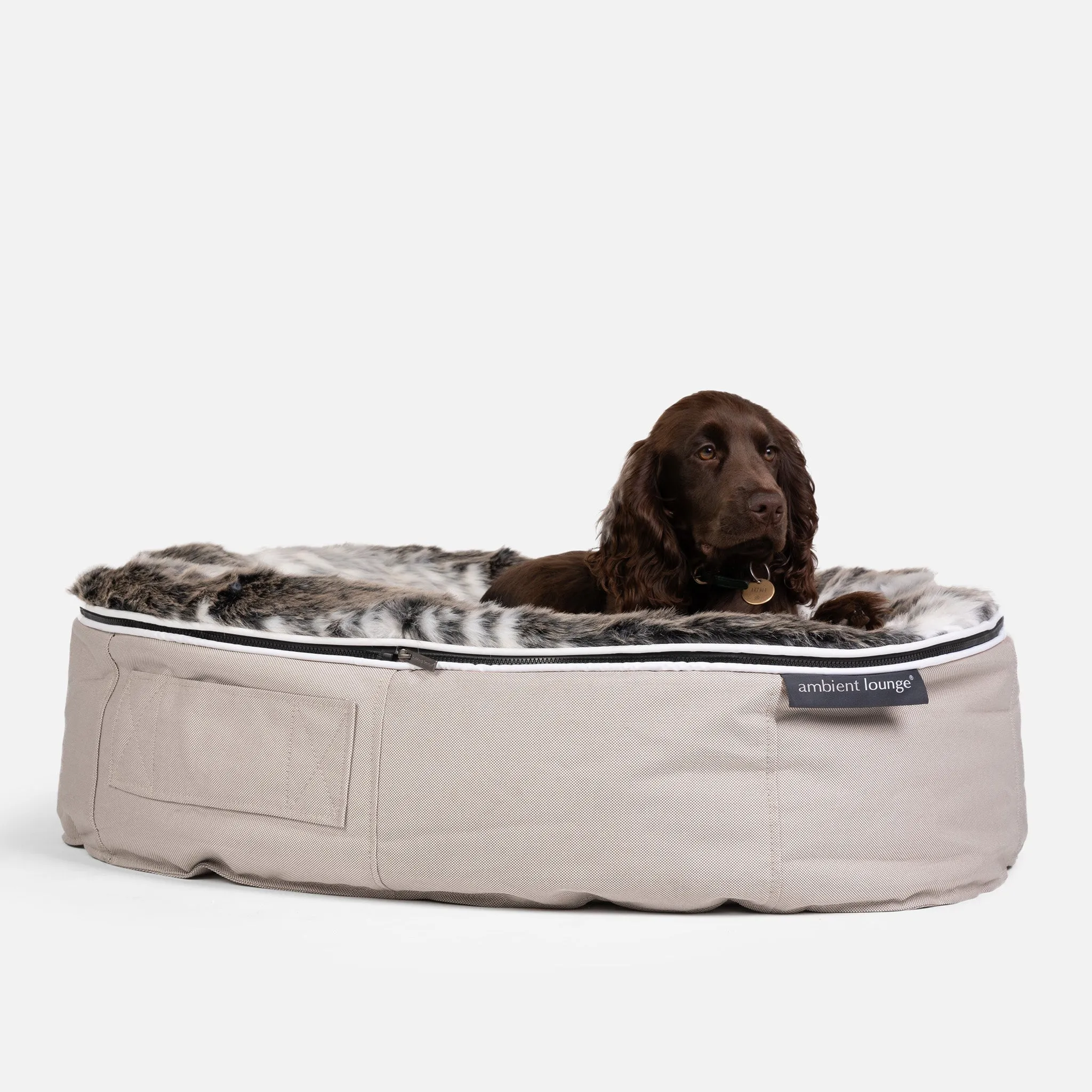 Medium Luxury Dog Bed - Interior/Outdoor