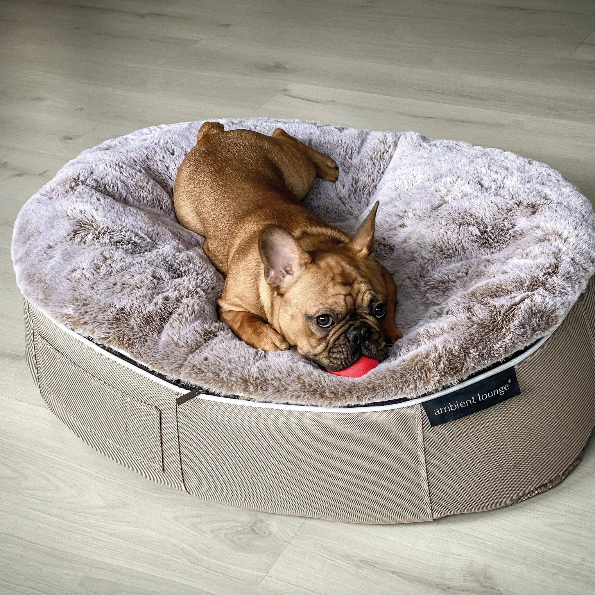 Medium Luxury Dog Bed - Interior/Outdoor