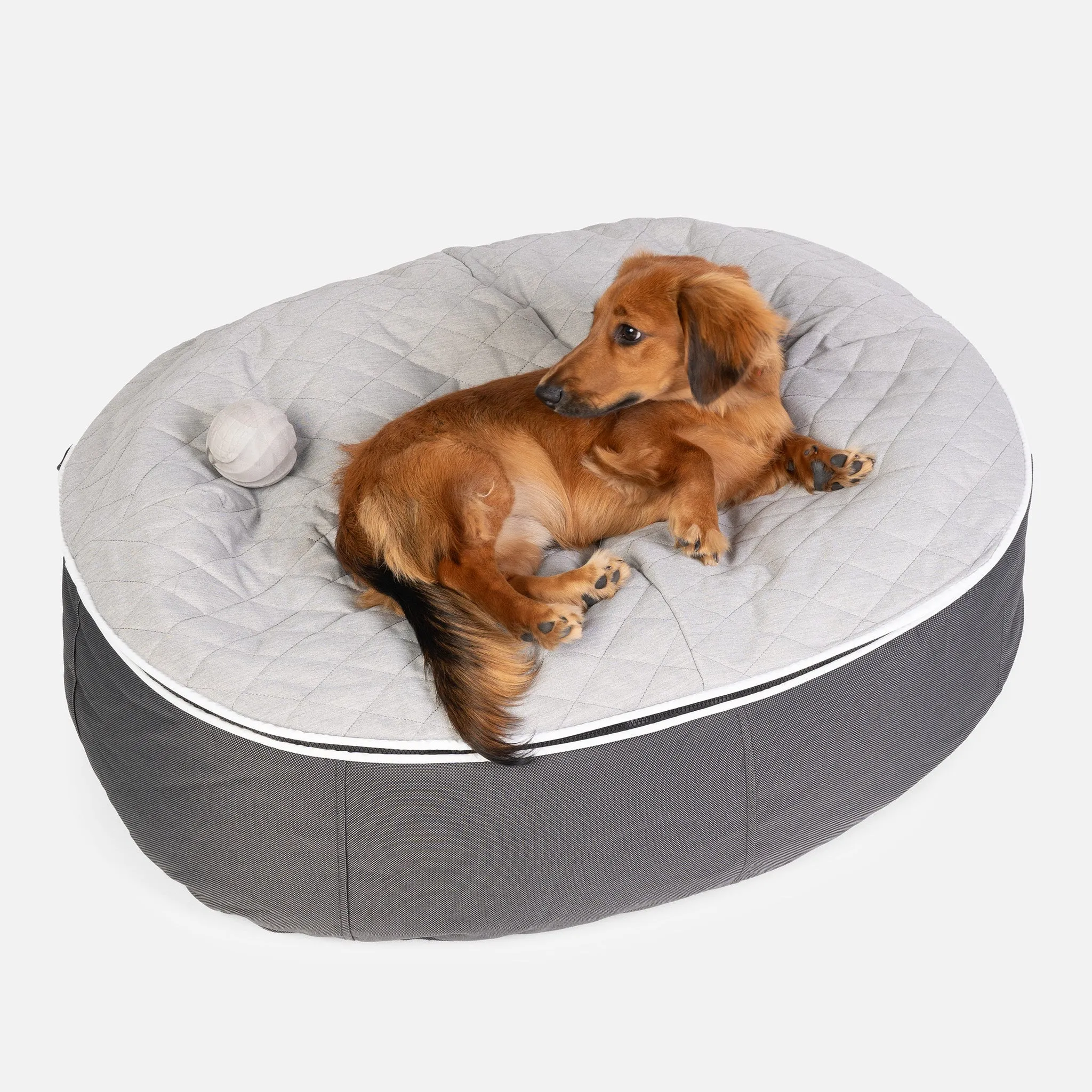 Medium Luxury Dog Bed - Interior/Outdoor