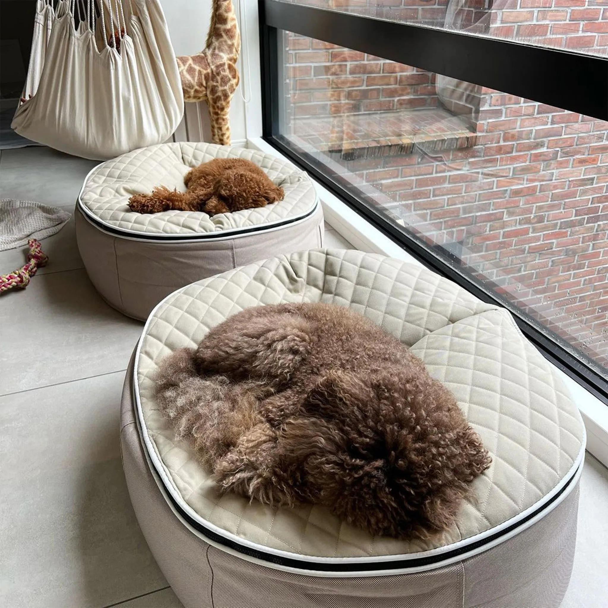 Medium Luxury Dog Bed - Interior/Outdoor