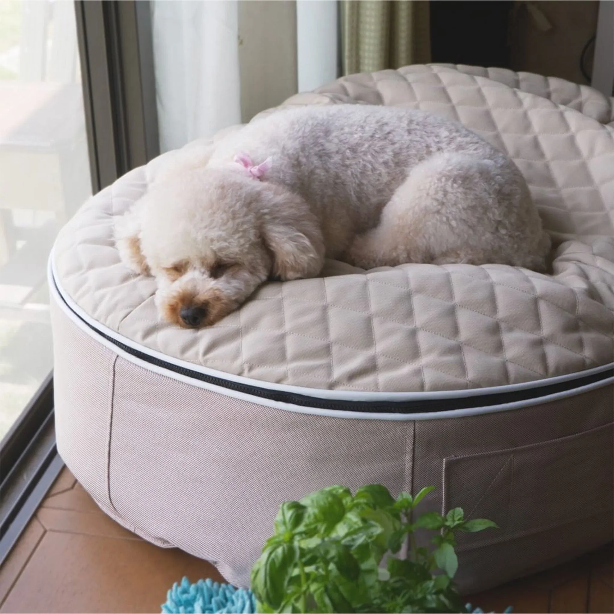 Medium Luxury Dog Bed - Interior/Outdoor