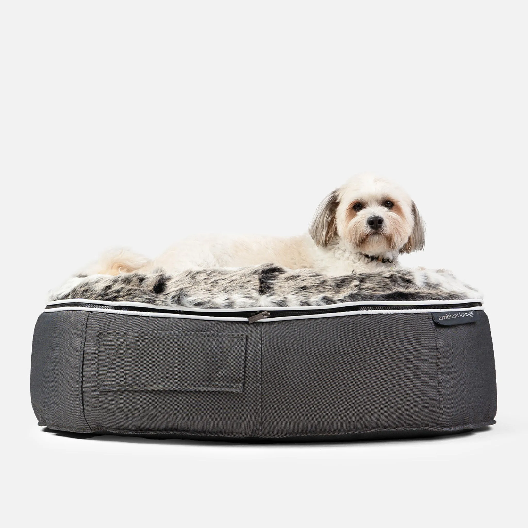 Medium Luxury Dog Bed - Interior/Outdoor