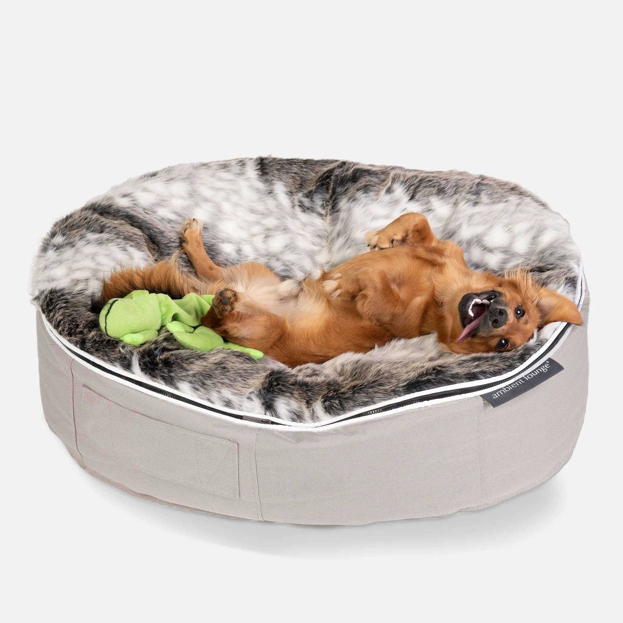 Medium Luxury Dog Bed - Interior/Outdoor