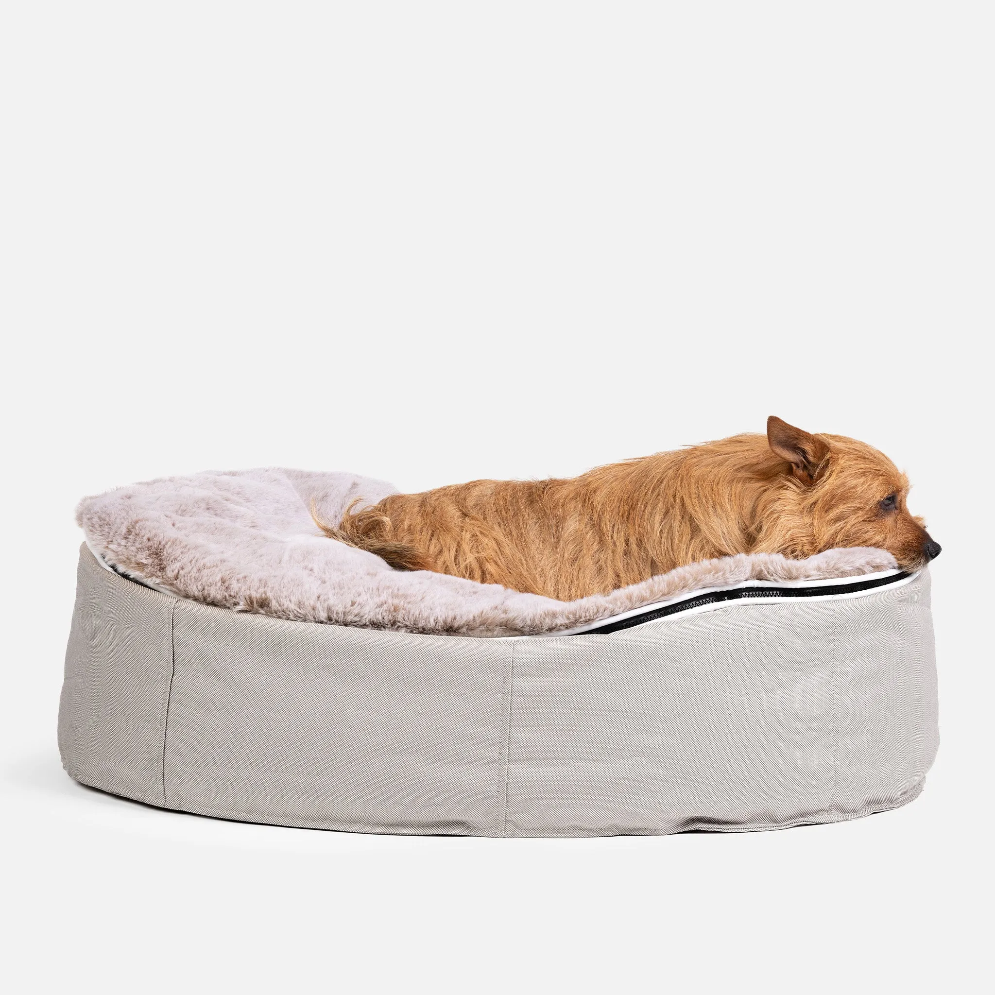 Medium Luxury Dog Bed - Interior/Outdoor