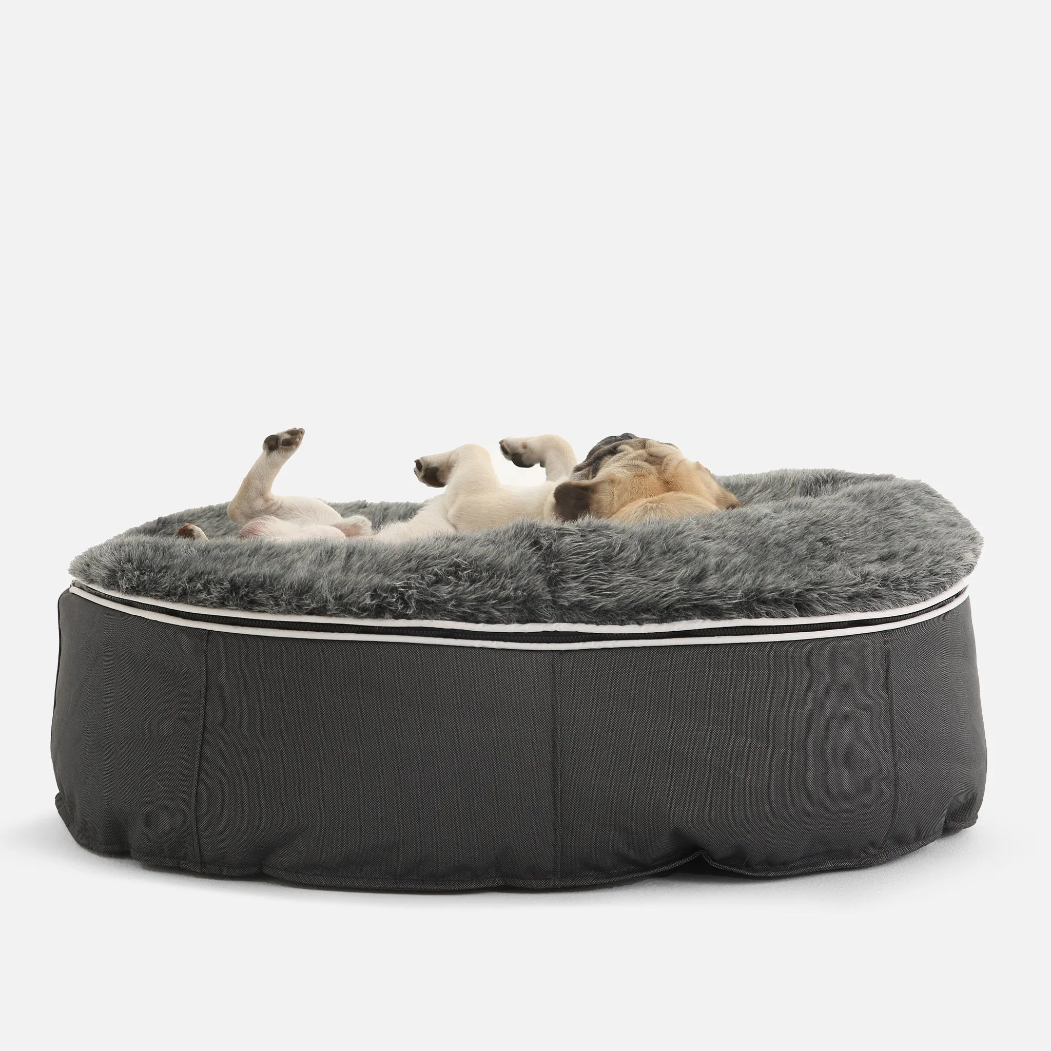 Medium Luxury Dog Bed - Interior/Outdoor