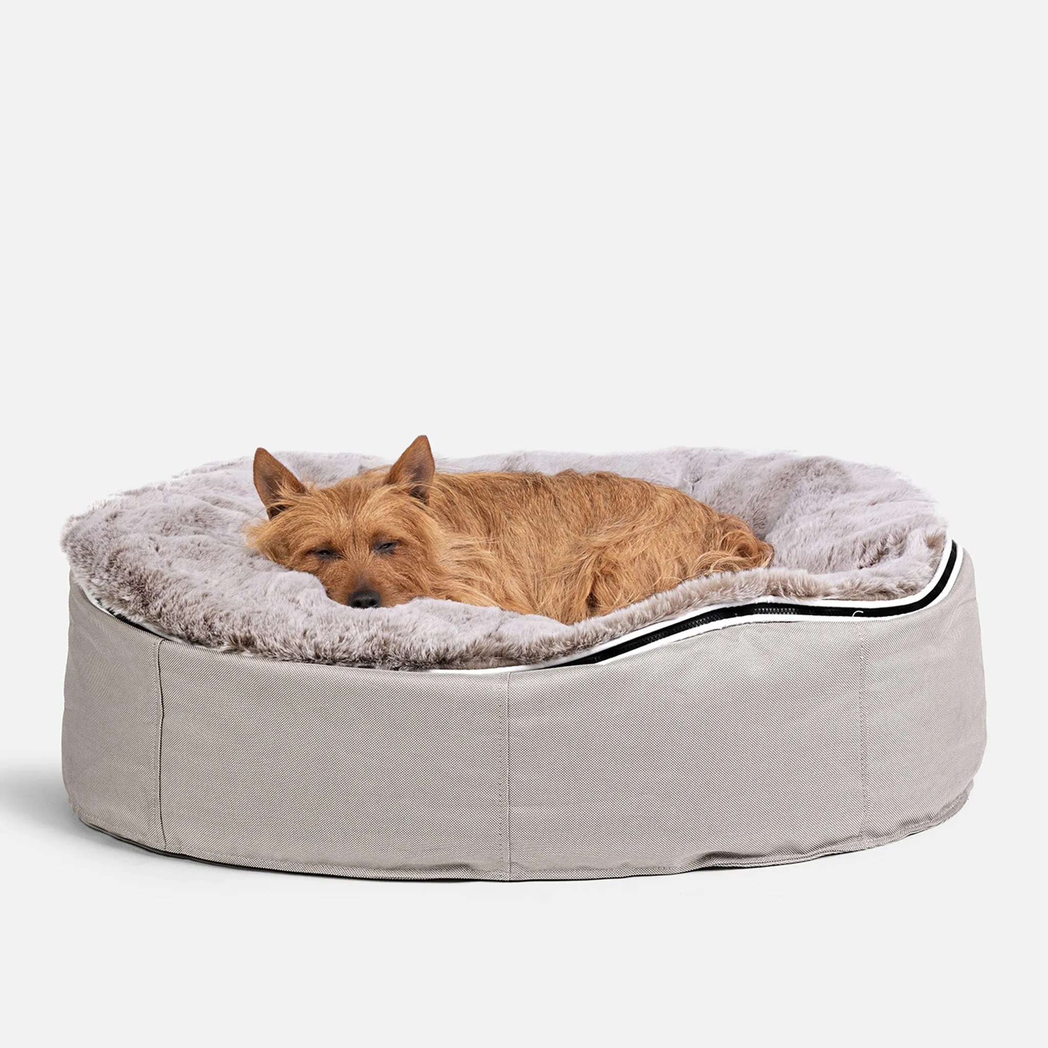 Medium Luxury Dog Bed - Interior/Outdoor