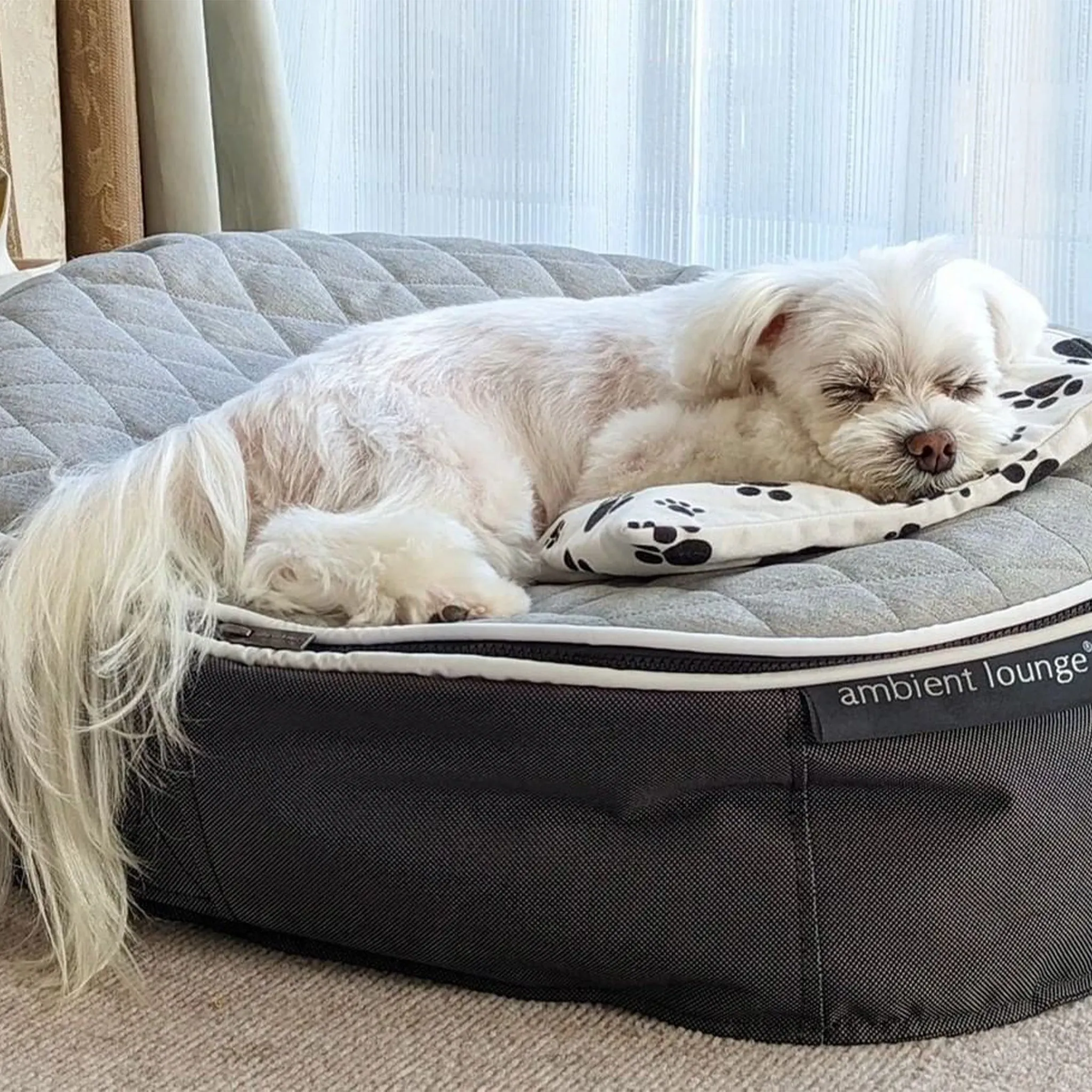 Medium Luxury Dog Bed - Interior/Outdoor