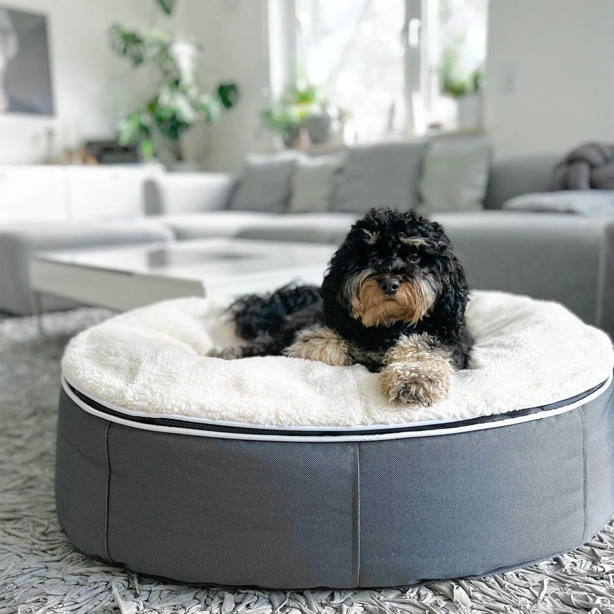 Medium Luxury Dog Bed - Interior/Outdoor