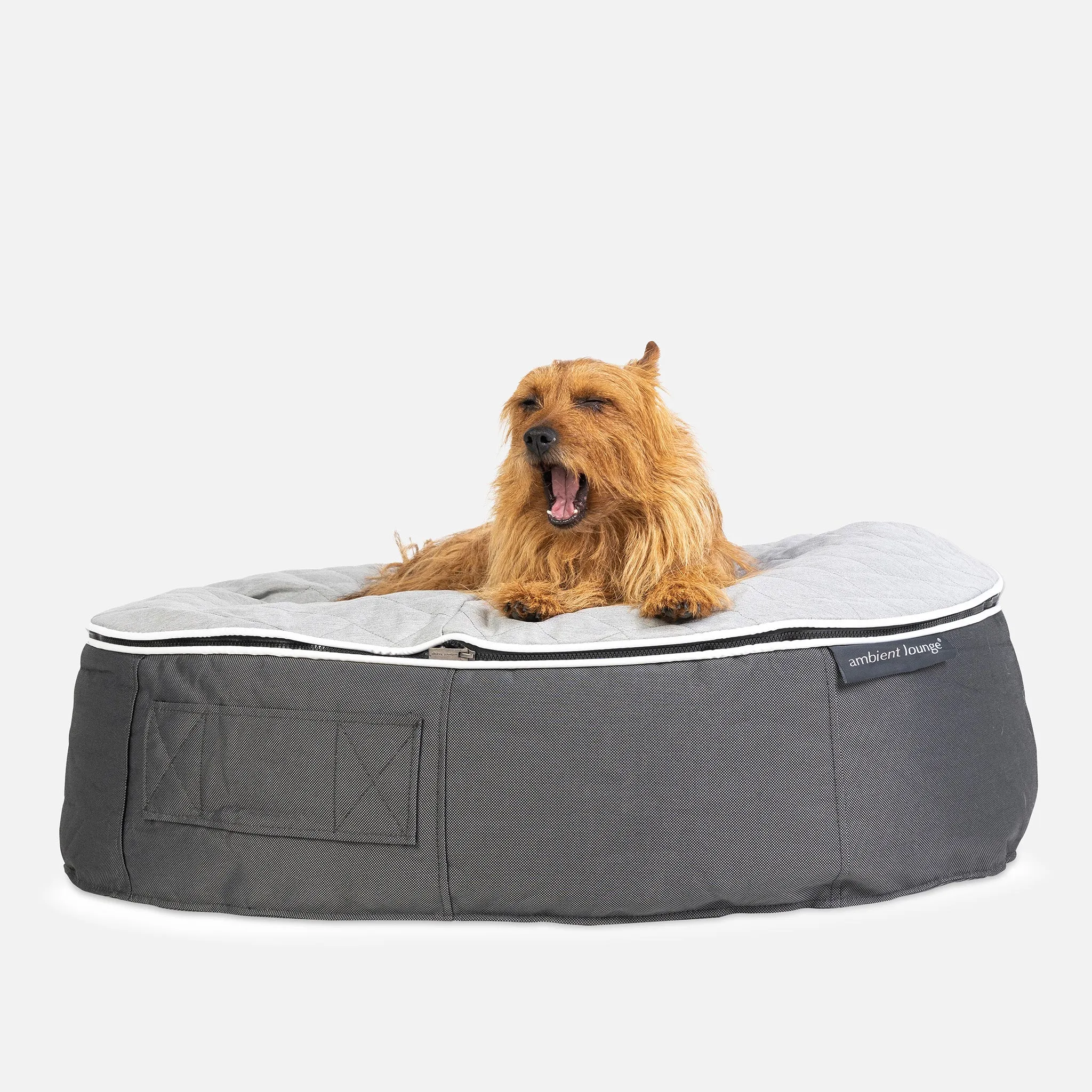 Medium Luxury Dog Bed - Interior/Outdoor