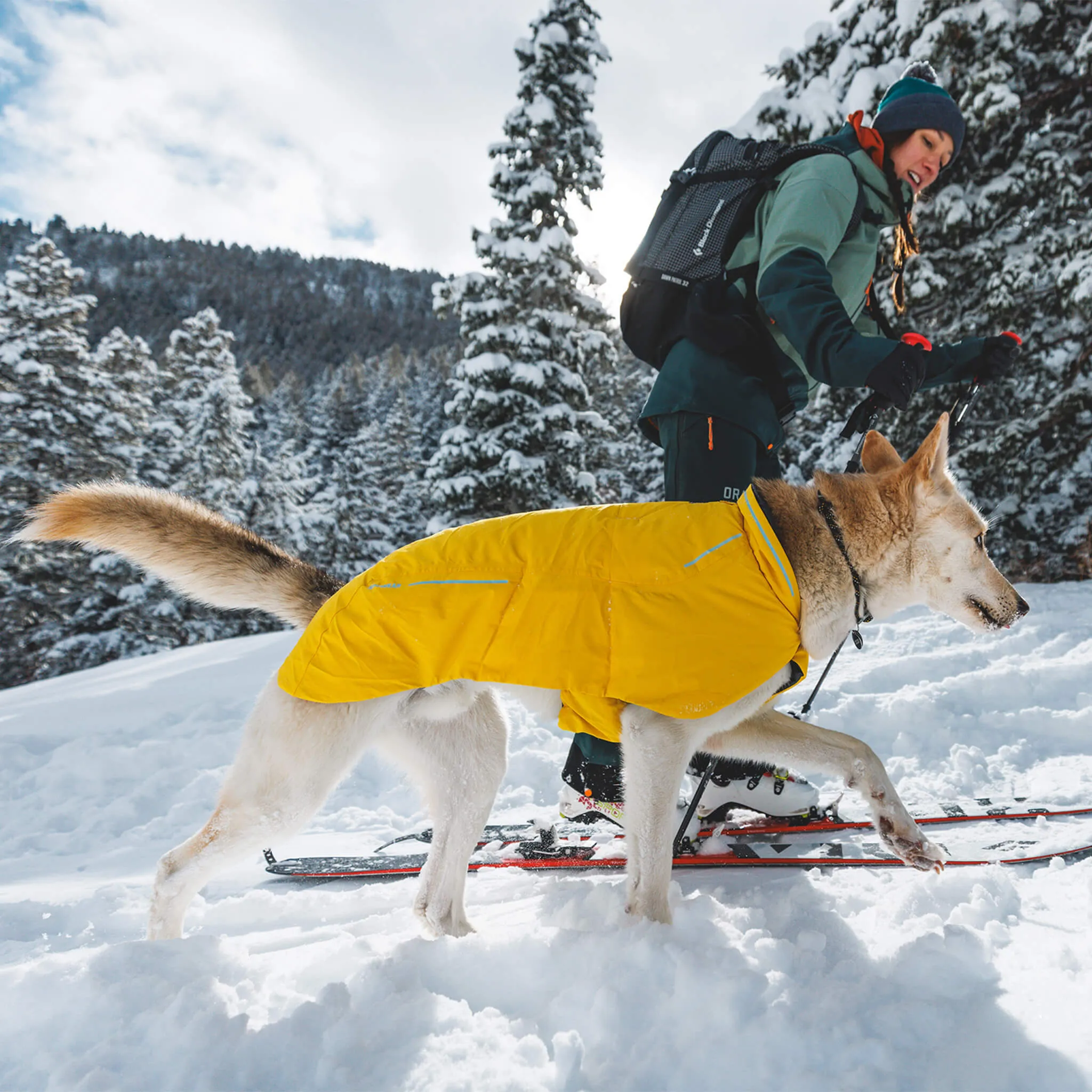 RuffWear Vert Jacket for Dogs